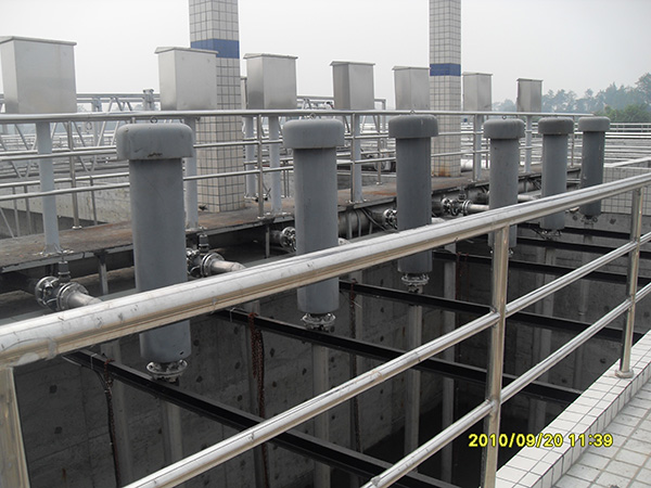 彭州水蜜桃成人网厂3