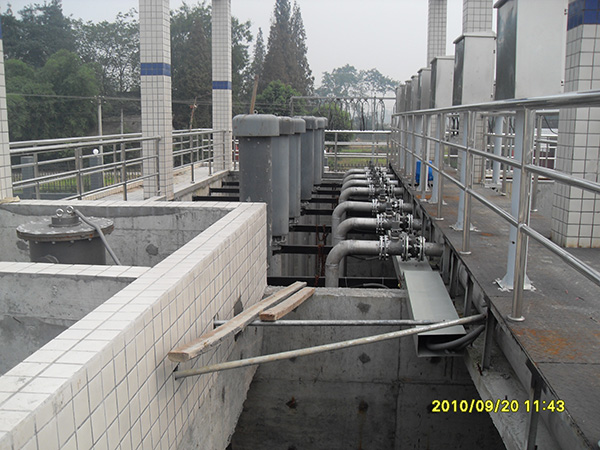 彭州水蜜桃成人网厂4