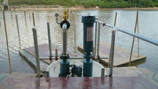 沉水式鼓蜜桃中文字幕