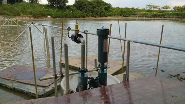 沉水式罗茨鼓蜜桃中文字幕