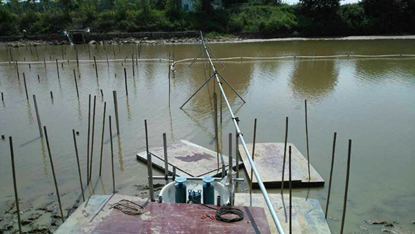 潜水蜜桃中文字幕