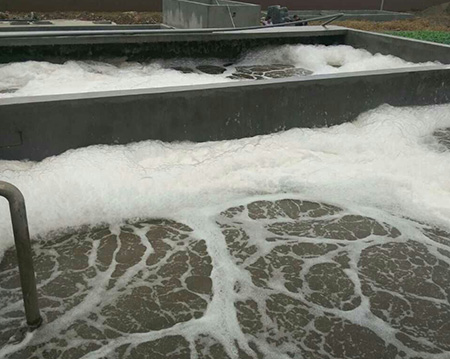 91水蜜桃在线观看的水蜜桃成人网鼓蜜桃中文字幕质量可靠寿命长！