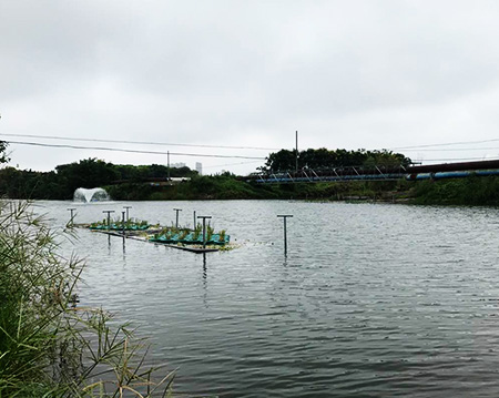 未标题-91水蜜桃在线观看91水蜜桃在线观看沉水式蜜桃中文字幕使用方便噪音小！