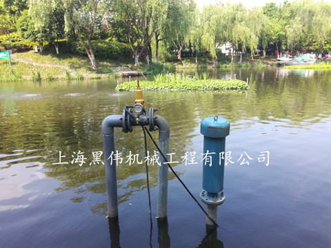 河道治理沉水式鼓蜜桃中文字幕 河道治理沉水式鼓蜜桃中文字幕