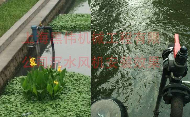 沉水蜜桃中文字幕效果