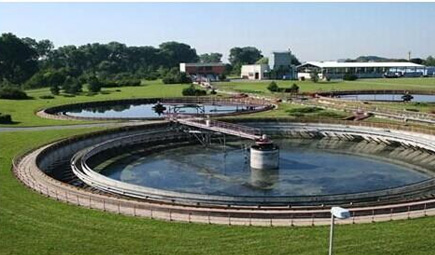 农村一体化水蜜桃成人网